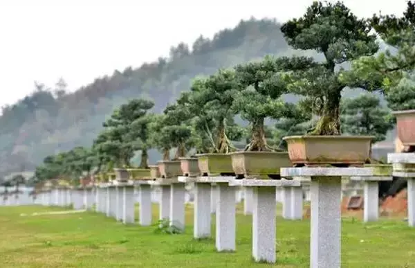 金华内的旅游景点_金华好玩的旅游景点_金华有什么好玩的地方旅游景点