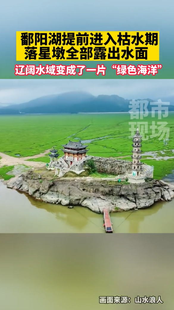 鄱阳湖银鱼_鄱阳湖在哪_鄱阳湖大草原