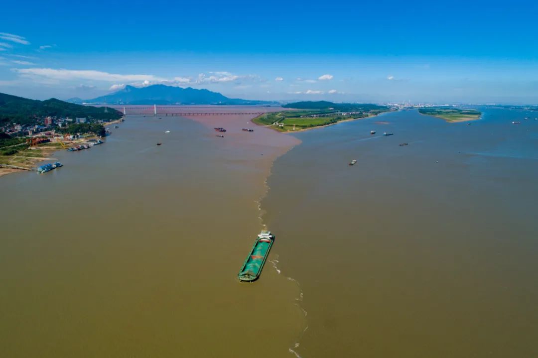 鄱阳湖银鱼_鄱阳湖大草原_鄱阳湖在哪