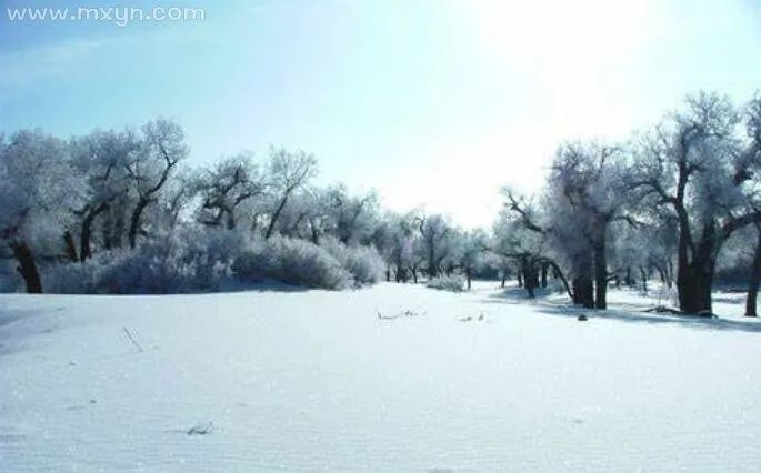 梦见下雪是什么征兆_下雪梦见下雪_下大雪梦到