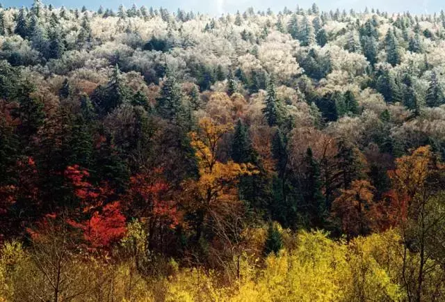 长白山旅游攻略_长白山在哪个城市_长白山在哪里