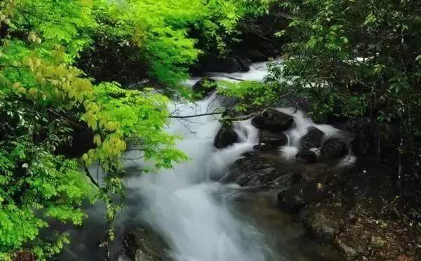 自驾游去哪里好玩_自驾游玩好去处_好玩自驾游去哪里好