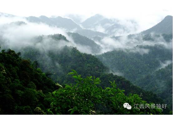 三清山景点有哪些_三清山在哪里_三清山在哪里哪个城市