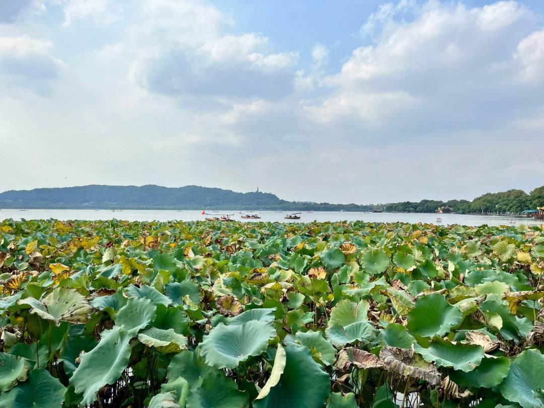 西湖在哪里_西湖十景_西湖在哪里