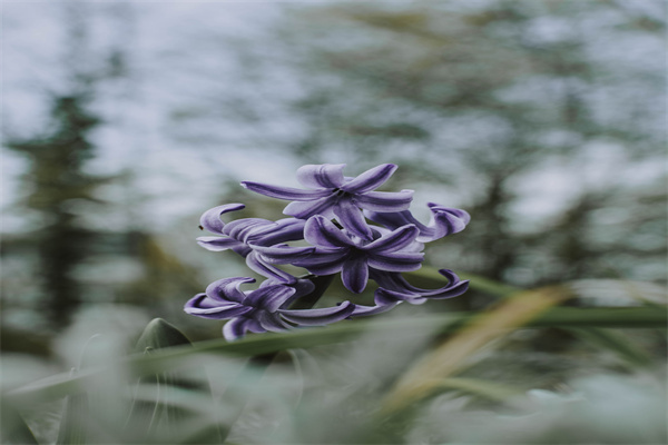 小学生周记中秋节100字雨天（锦集12篇）